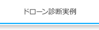 ドローン診断実例